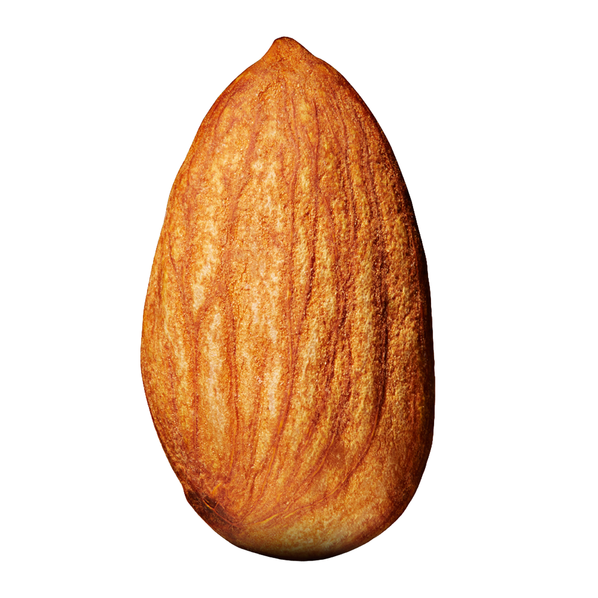 Nuts & Seeds